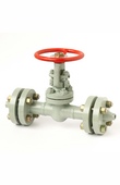 Wedge gate valves