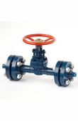 Wedge gate valves for butt welding