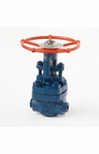 Coupling wedge gate valves