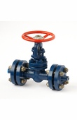 Coupling valves with electric drive