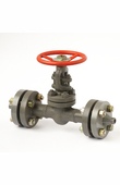 Flanged wedge gate valves