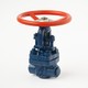 Coupling steel gate valve 30c(ls,NJ)41nzh Du32