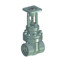 Coupling steel gate valve 30c(ls,NJ)941nj DU15