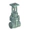 Coupling steel gate valve 30c(ls,NJ)941nj DU15 #0