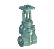 Coupling steel gate valve 30c(ls,NJ)964nj Du50