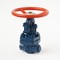 Coupling steel gate valve 31c(ls,NJ)18nzh Du15 #0