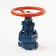 Coupling steel gate valve 31c(ls,nj)18nzh Du32