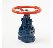 Coupling butt-welded steel gate valve 31c(ls,NJ)16nzh DU15 #0