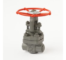 Coupling butt-welded steel gate valve 31c(ls,NJ)16nzh DU15 #2