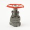 Coupling butt-welded steel gate valve 31c(ls,NJ)16nzh Du20 #2