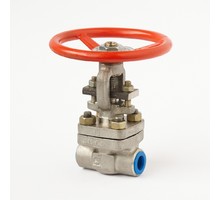 Coupling butt-welded steel gate valve 31c(ls,NJ)16nzh Du32 #1