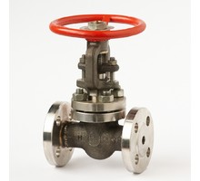 Flanged steel gate valve 30c(ls,nj)41nj Du15 #6