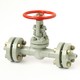 Flanged steel gate valve 30c(ls,nj)41nj Du15