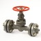 Flanged steel gate valve 30c(ls,nj)41nj Du50 #0