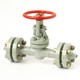 Flanged steel gate valve 30c(ls,nj)64nzh DU40