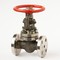 Flanged steel gate valve 30c(ls,nj)15nj Dn20 #6