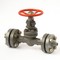 Flanged steel gate valve 31c(ls,nj)18nj Du15 #5
