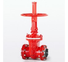 Wedge steel gate valve 31c(ls,NJ)41nj DU150 #0