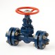 Flanged steel gate valve with electric drive 31c(ls,nj)41nj