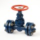 Flanged steel gate valve with electric drive 31c(ls,nj)99nj