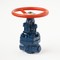 Coupling wedge steel gate valve 31c(ls,NJ)16nzh Du15 #3