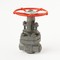 Coupling wedge steel gate valve 31c(ls,NJ)16nzh Du25 #1