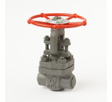 Coupling wedge steel gate valve 31c(ls,NJ)16nzh Du40 #1