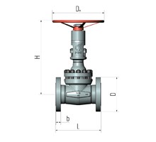 Flange wedge gate valve 31c41nzh