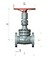 Flange wedge gate valve 31c41nzh #0