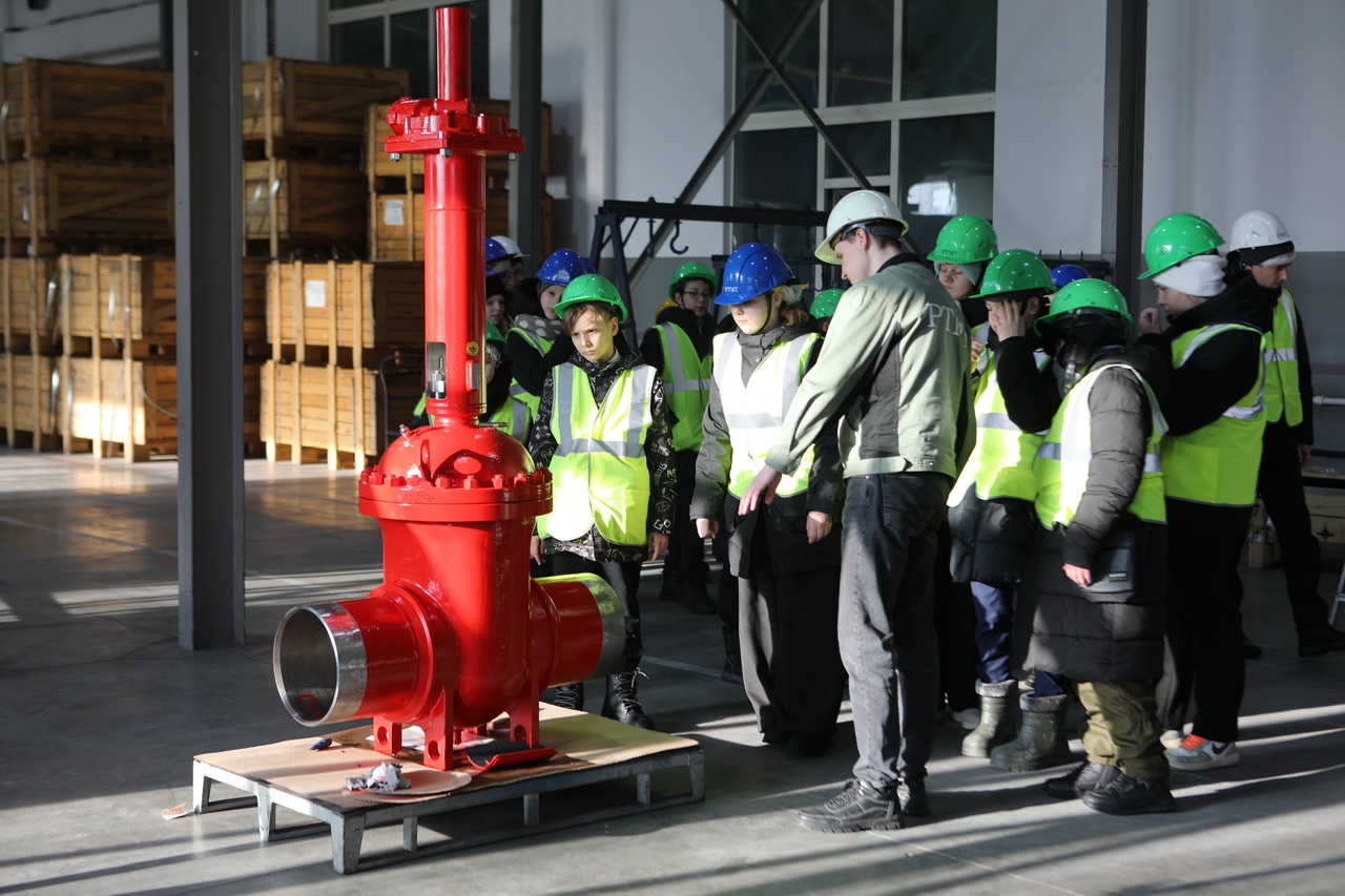 The vector of the professional future