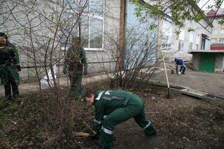 The team of LLC "RTMT" held a clean-up day